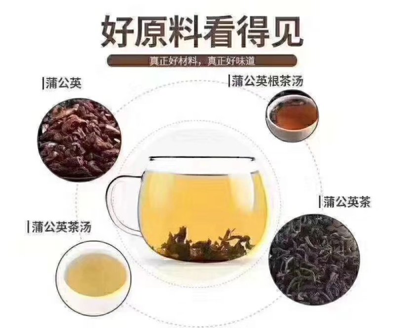 长白山蒲公英根茶