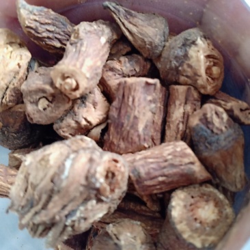 长白山蒲公英根茶