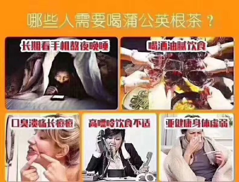 长白山蒲公英根茶