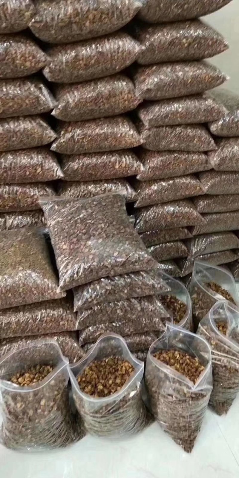 长白山蒲公英根茶