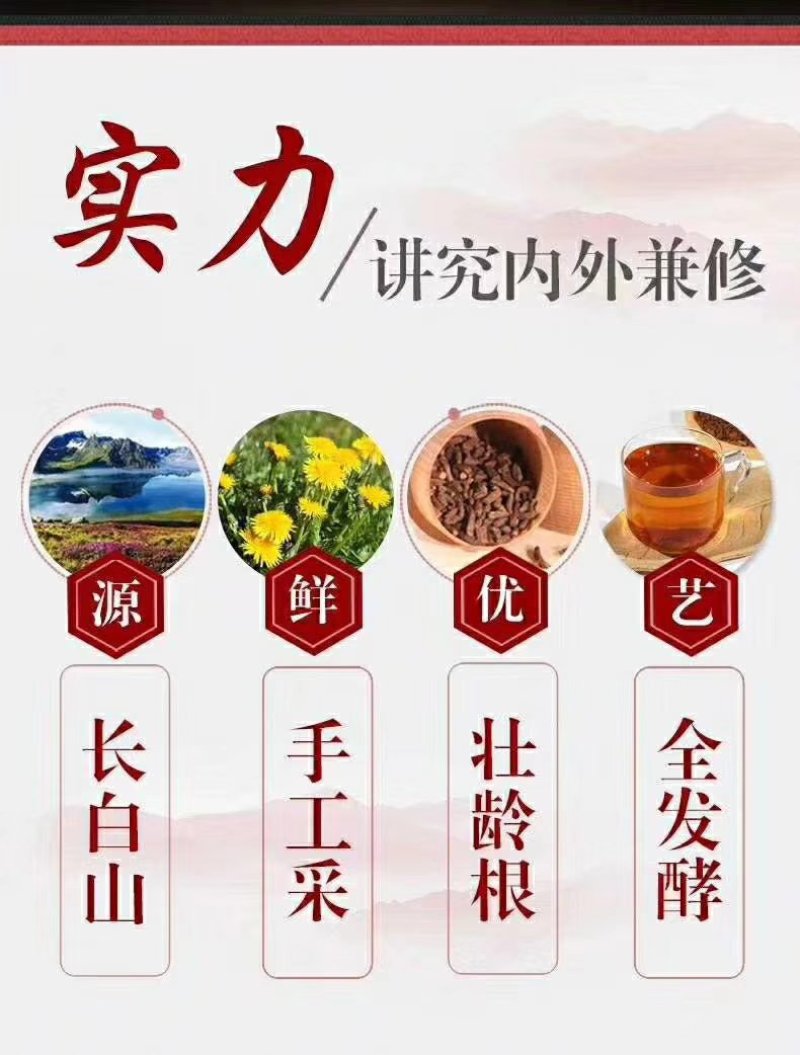 长白山蒲公英根茶
