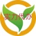 上海青小油菜产地直发代办诚信代收代发车