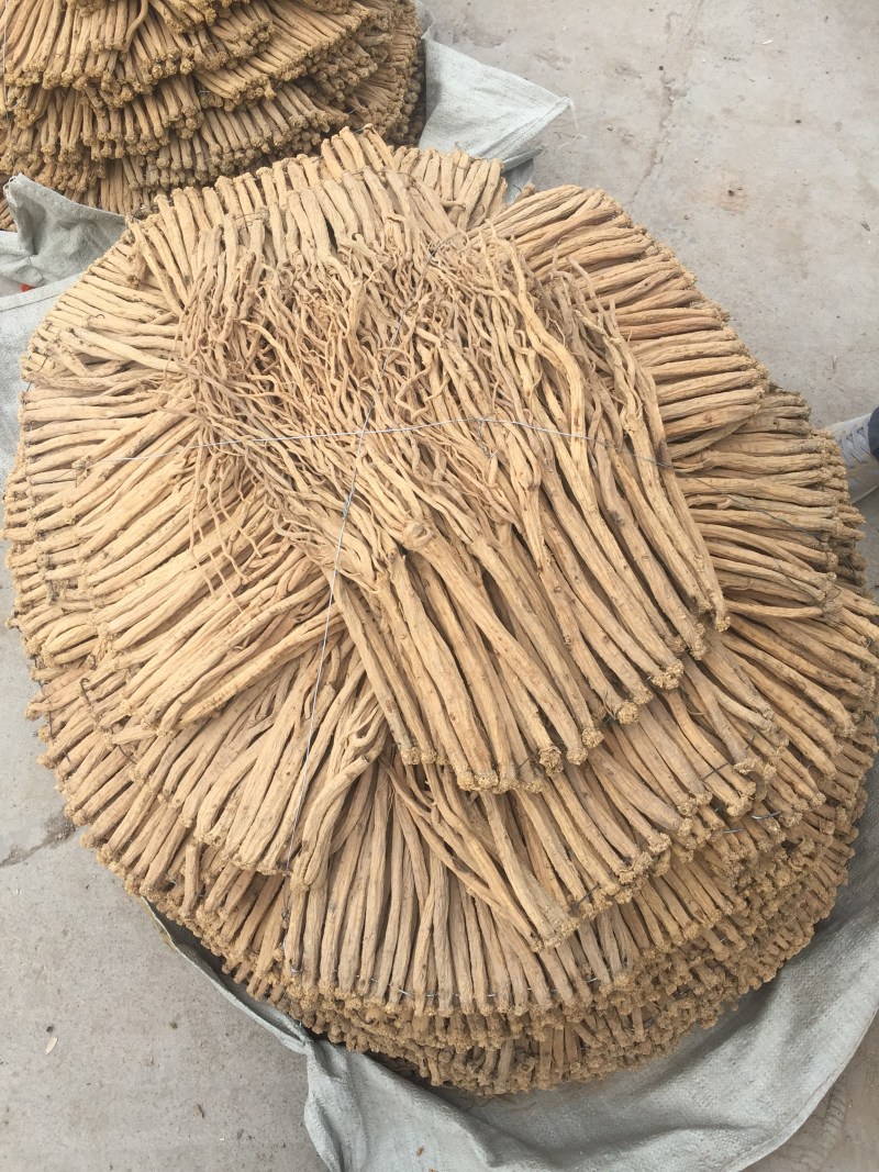 党参