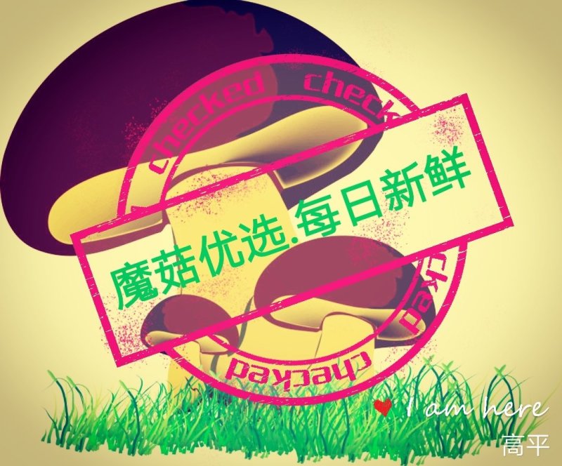 鲜香菇