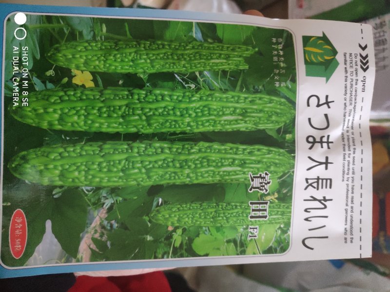 宝田苦瓜种子早熟耐寒耐热性好