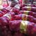 紫红黄皮洋葱规格齐全长年供应一手货源代收代存冷库出租