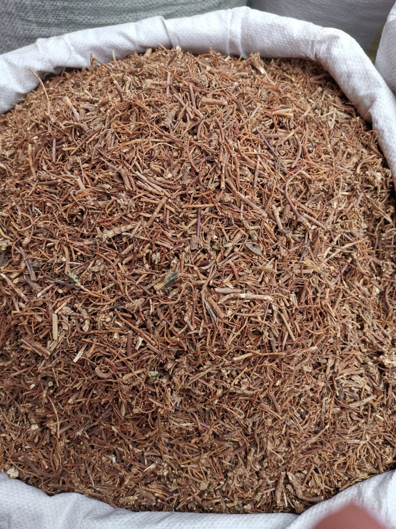 龙胆草产地直销大货龙胆草规格齐全长期药厂供货