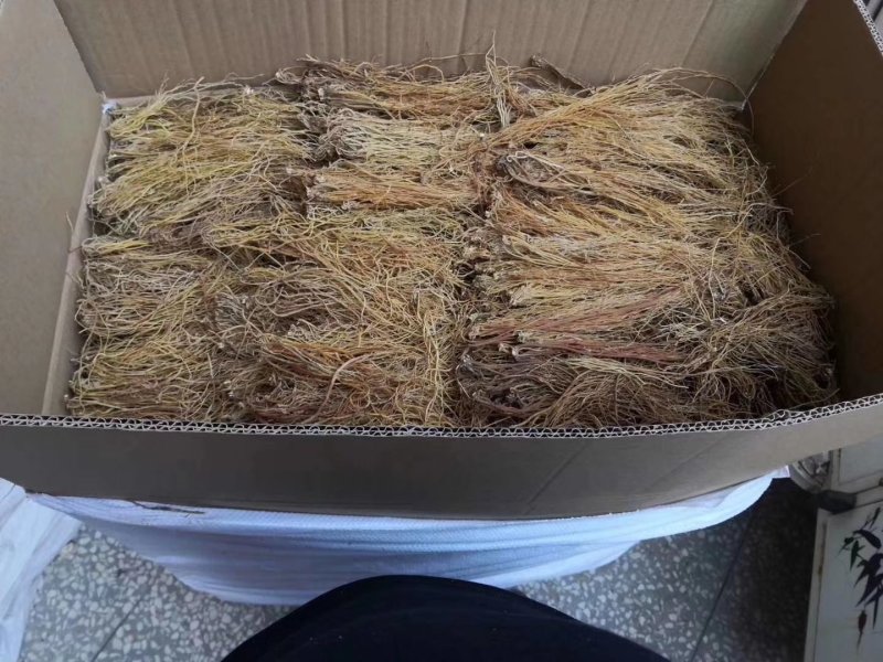 龙胆草产地直销大货龙胆草规格齐全长期药厂供货