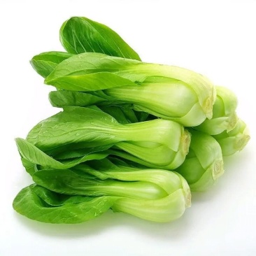 小油菜上海青小青菜商超食品厂