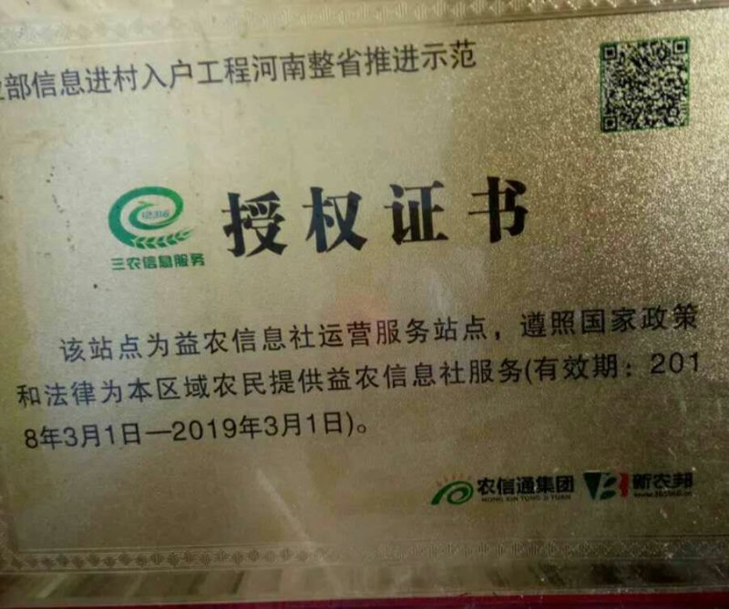 夏邑益农合作社基地种植密刺油亮黄瓜保质保量货源充