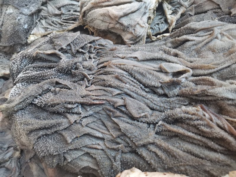 牛百叶个大纯干，根据要求去油，可发样品，看视频