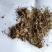 桑白皮沫子不含邮费批发零售诚信经营支持混批量大从优