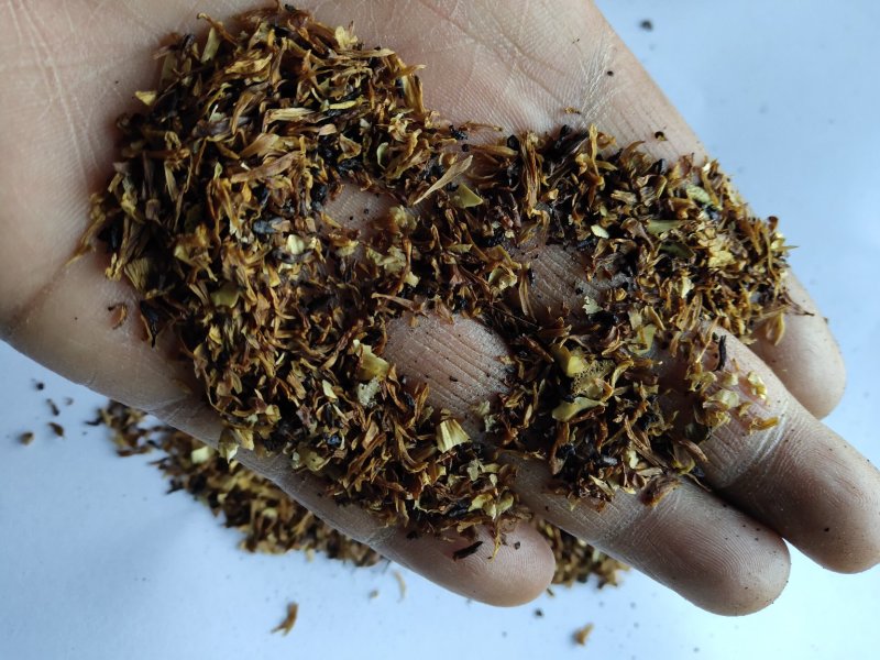 枳壳沫子不含邮费批发零售品种齐全量大从优