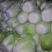 精品青州白菜（视频看货，产地直发）