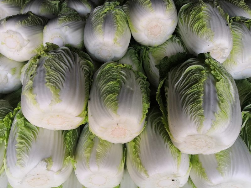 精品青州白菜（视频看货，产地直发）