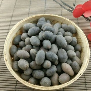 石莲子，常年批发供应石莲子