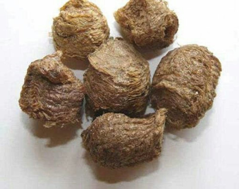 桑螵蛸，常年批发供应，桑螵蛸，生大棉，熟大棉