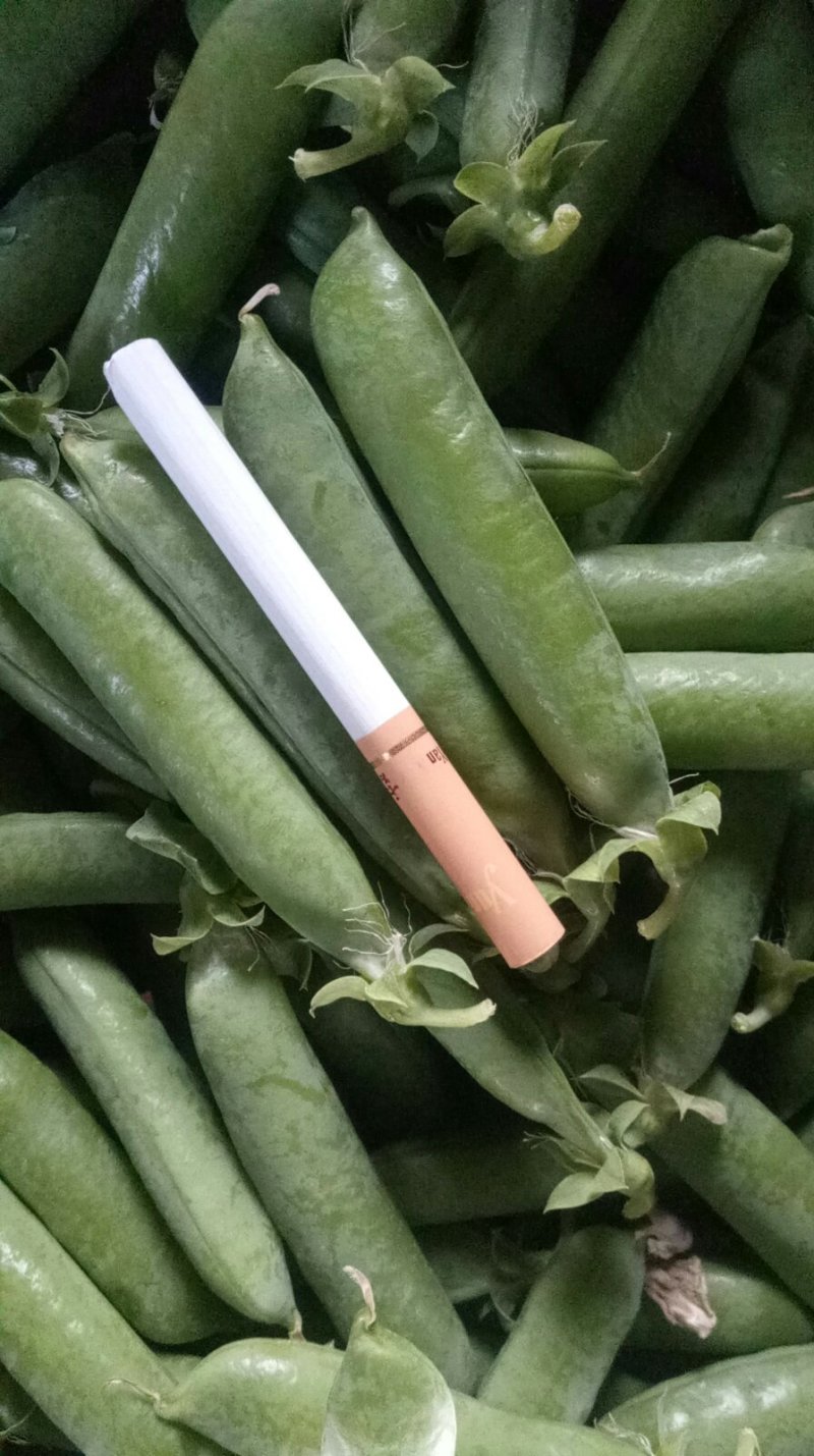长寿仁碗豆大量供应，需要的老板联系，