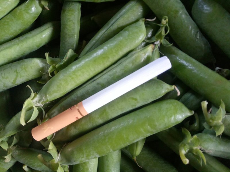 长寿仁碗豆大量供应，需要的老板联系，