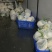 【花菜】湖北优质松花菜大量现货供应全国发售欢迎咨询