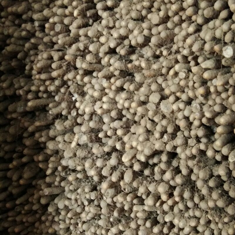 山药土特产，正宗小白嘴，与市场，各大商城，进出口贸易合作