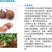 芋酷芋头香芋除草剂芋艿槟榔芋专用魔芋苗后除草剂组合