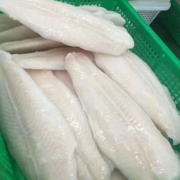 龙利鱼