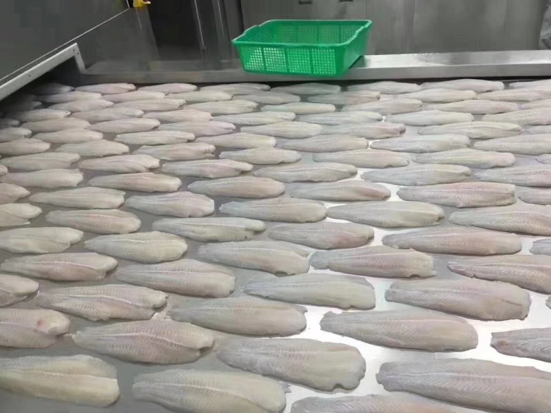 龙利鱼