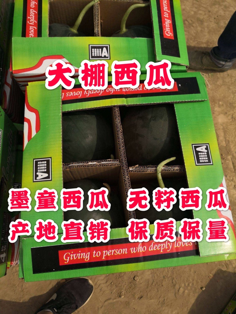 墨童西瓜，无籽西瓜，山东西瓜，皮薄糖度高，西瓜