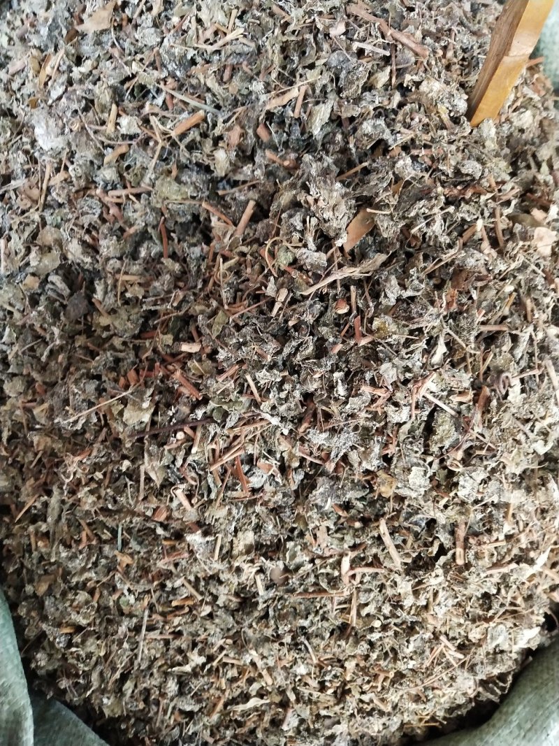藤茶，溪黄茶，莓茶、端午茶、藤婆茶（又称山甜茶、龙须茶