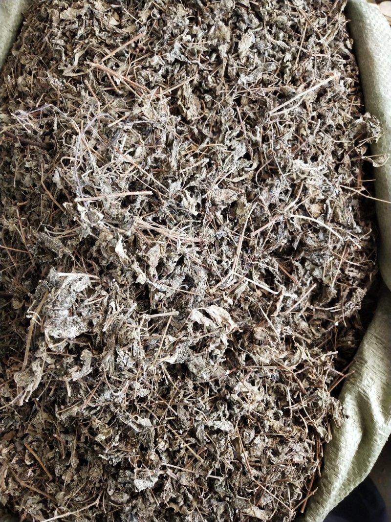 藤茶，溪黄茶，莓茶、端午茶、藤婆茶（又称山甜茶、龙须茶