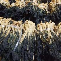 兰州菜干（白菜干梅干菜）秋季菜干产地直销70斤/件
