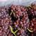 【热卖】葡萄，山东青岛精品克瑞森葡萄大量批发现货供应