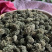 三七花田七花微商电商实体淘货源专业保密一件代发