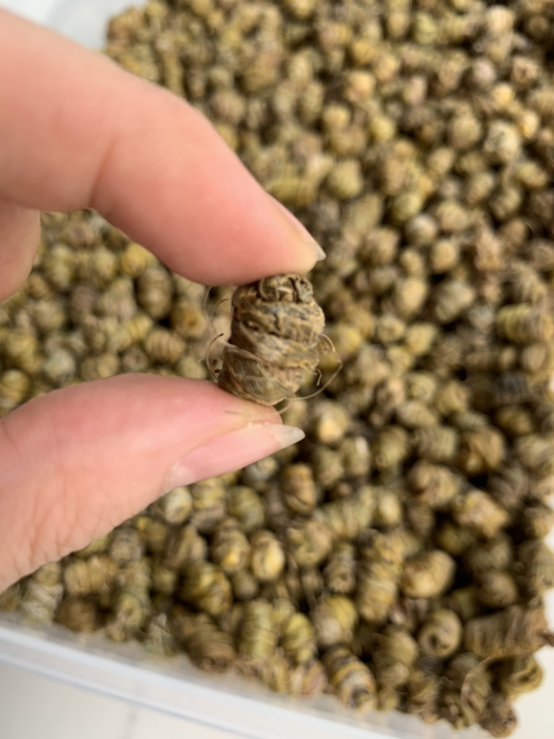 无渣石斛枫斗淘货源微商电商货源一件代发