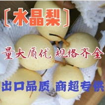 〔水晶梨〕大量供应质量保证诚信经营【代发全国】