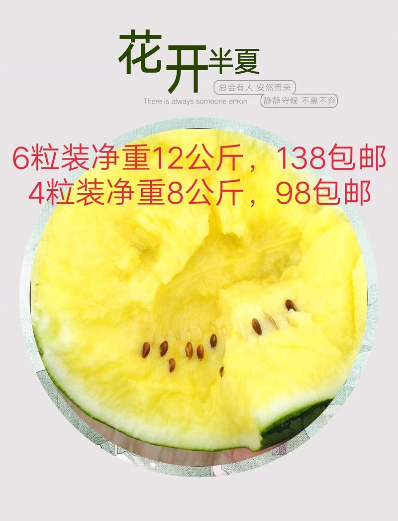 东台特小凤，(农友小兰)，西瓜，3斤打底9成熟1茬