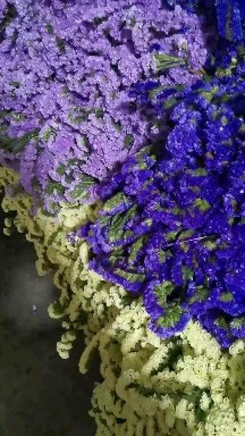 干花勿忘我