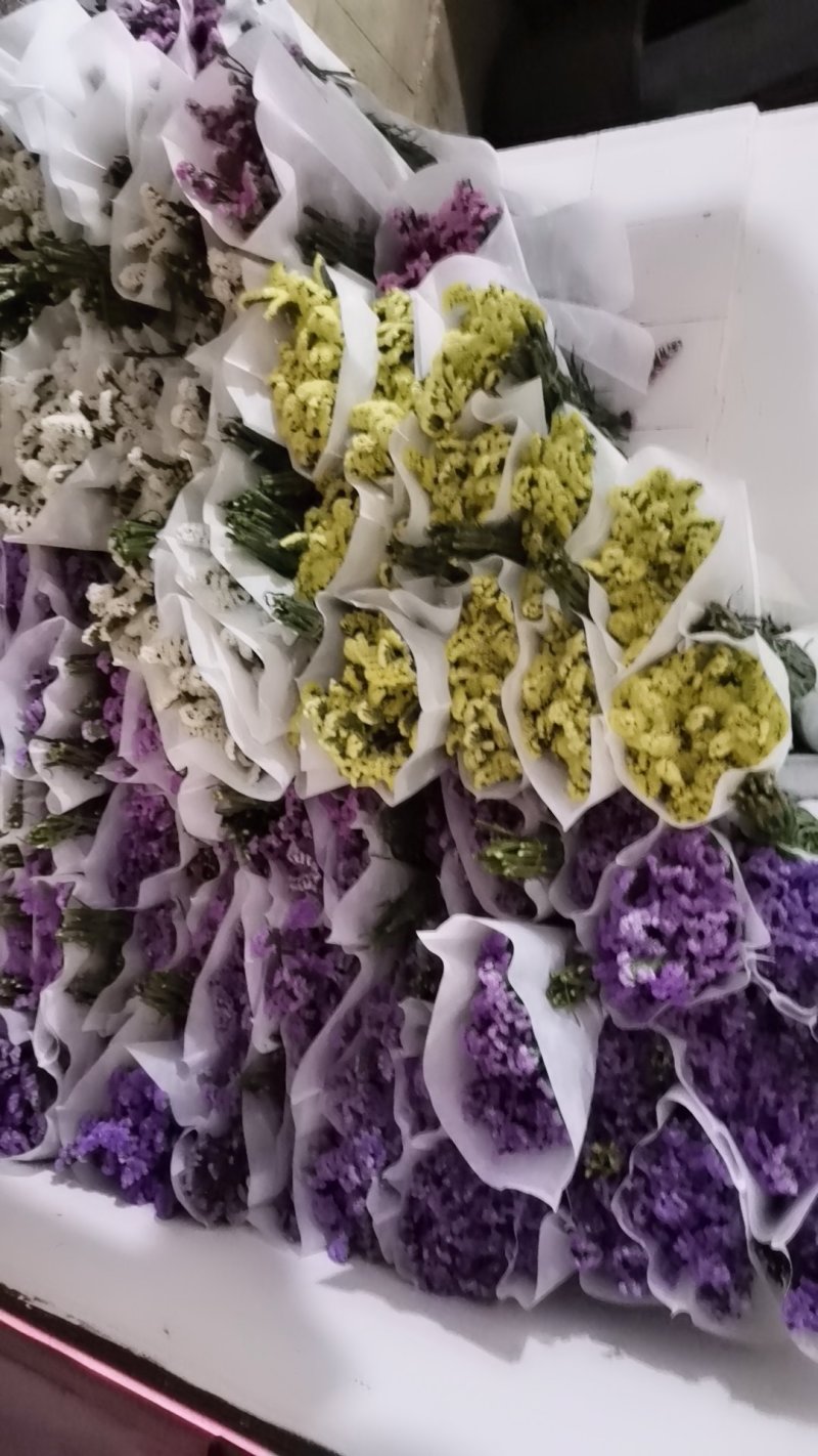 干花勿忘我