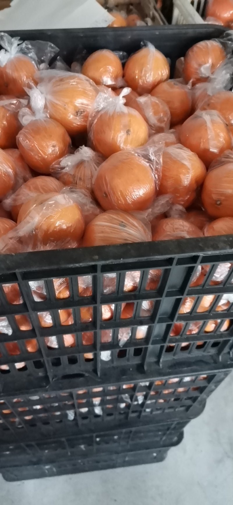 湘西碰柑