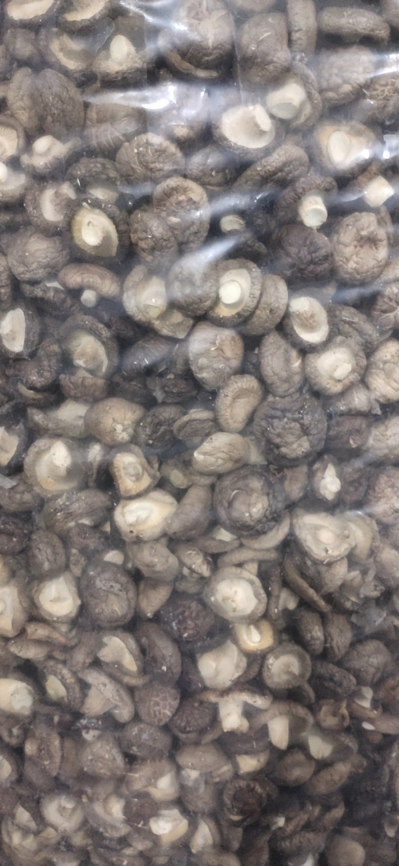 干香菇通货