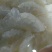 天然美味海蜇一件代发