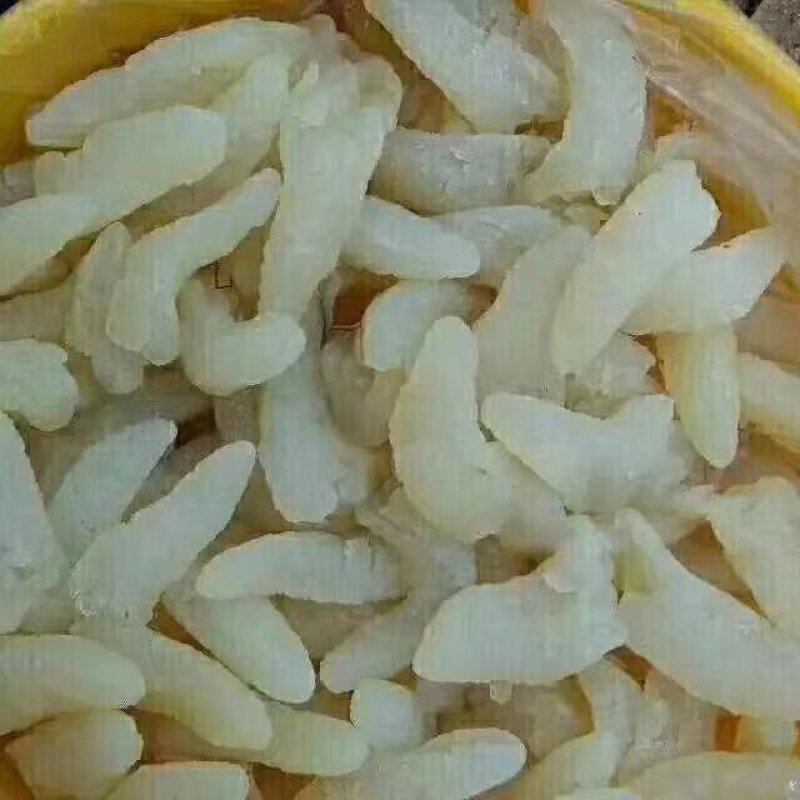天然美味海蜇一件代发
