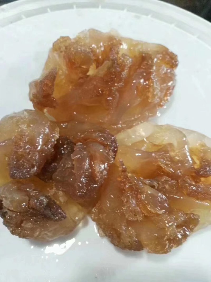 天然美味海蜇一件代发