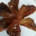 天然美味海蜇一件代发