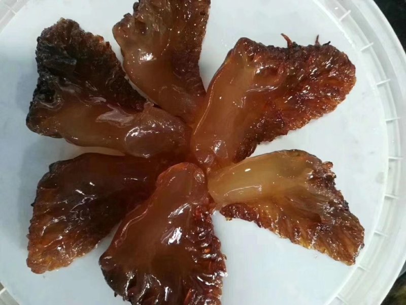 天然美味海蜇一件代发