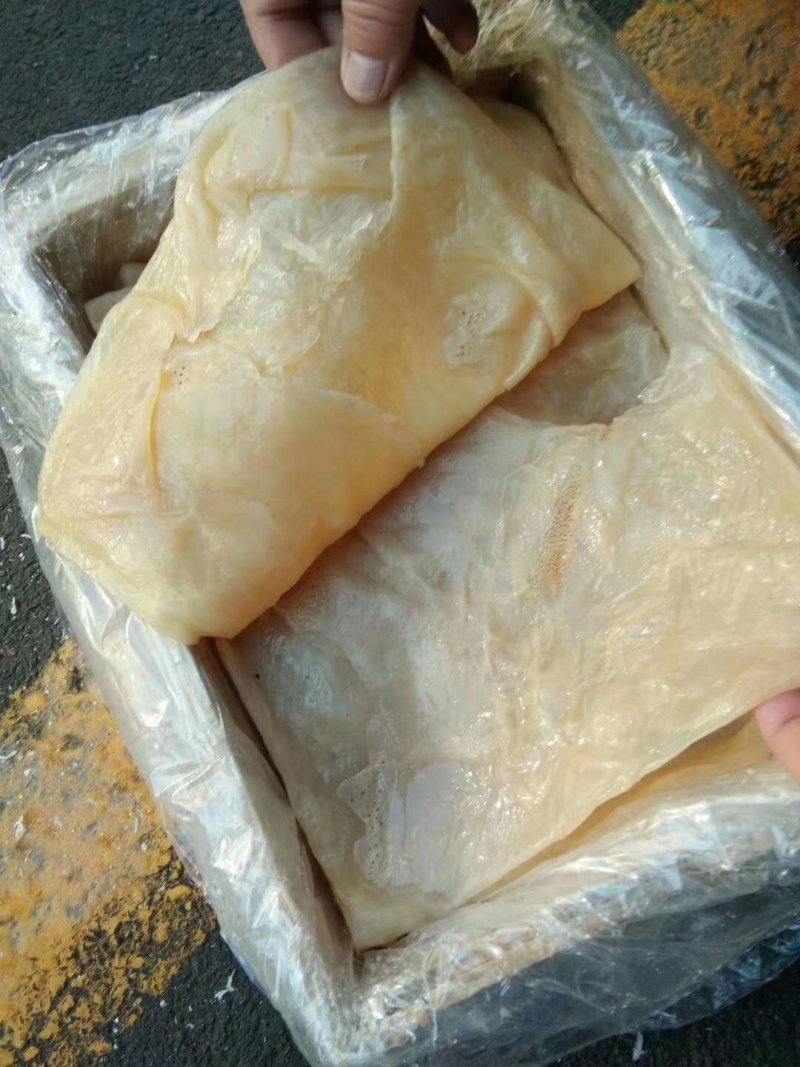 天然美味海蜇一件代发