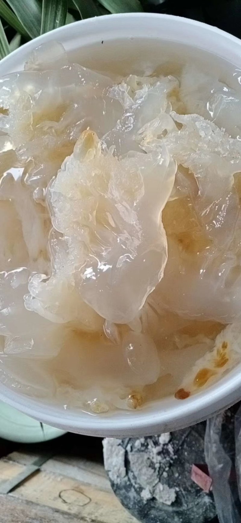 天然美味海蜇一件代发