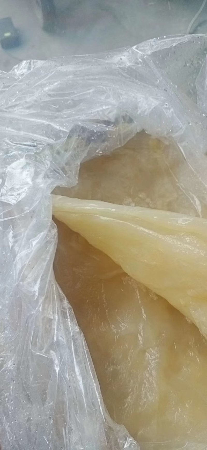 天然美味海蜇一件代发