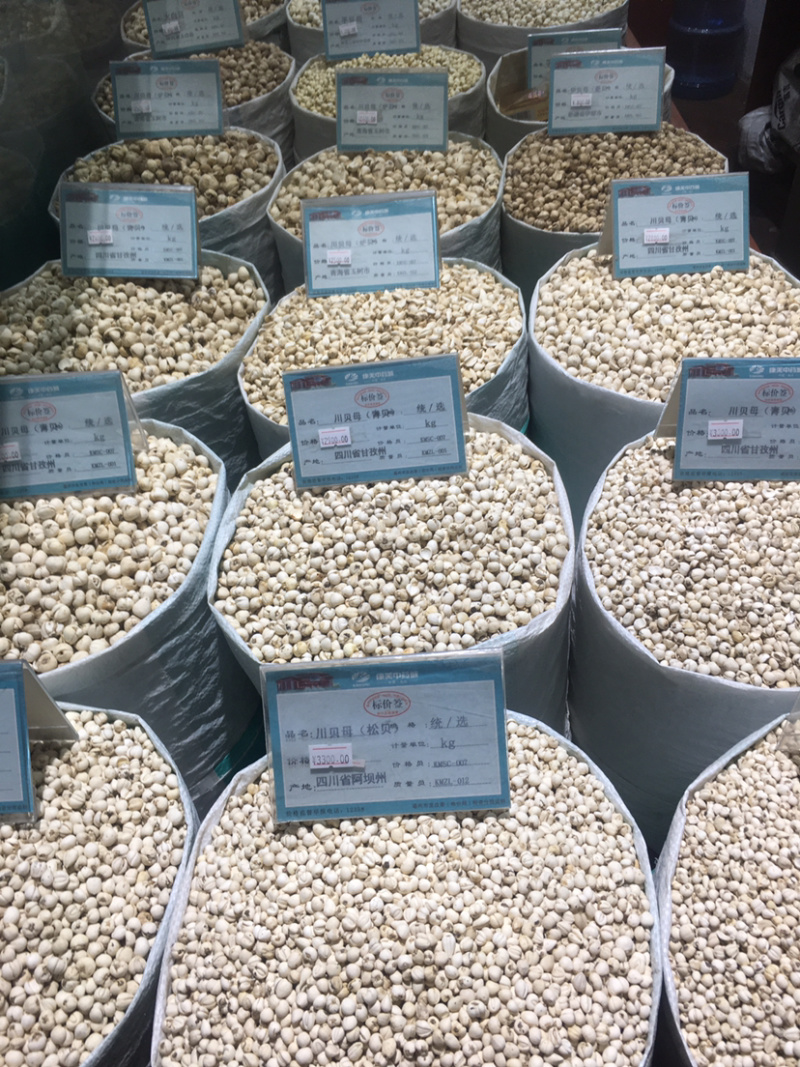 川贝母松贝青贝炉贝批发零售量大从优
